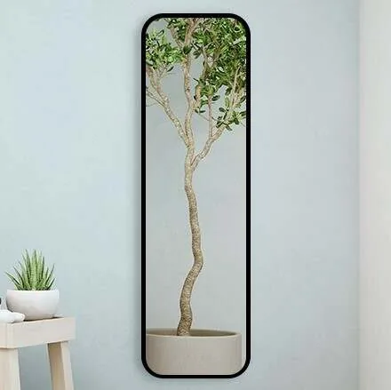 black/white/gold metal framed full length wall mirror